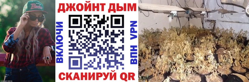 Бошки марихуана сатива Тетюши